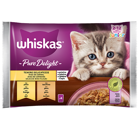Whiskas® Pure Delight Tenere Delicatezze Junior 4x85g
